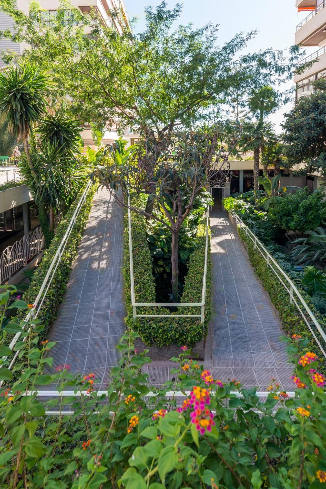 La Nogalera Centro Apartment